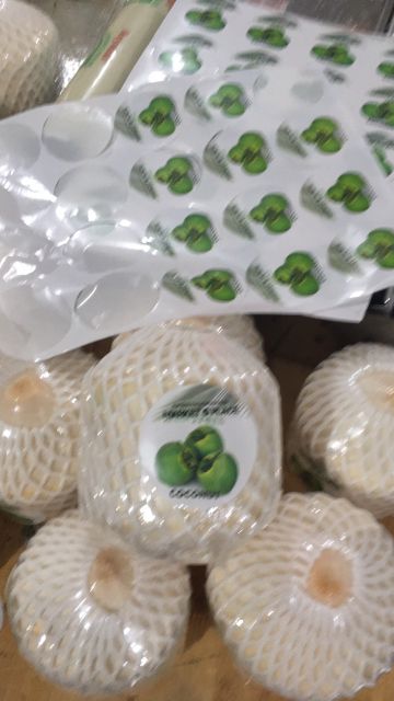 Fresh coconut - ready to drink with bamboo straw Color white Style Fresh Type Coconut Quality 100% Pure Storage Type - Image 6