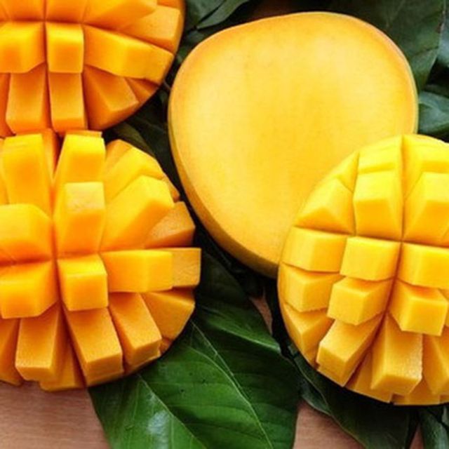 Famous CAT CHU Mango / Guaranteed Sweet and Fresh / Made for Exportation / Quick Response (Ho Chi Minh Port) - Image 3