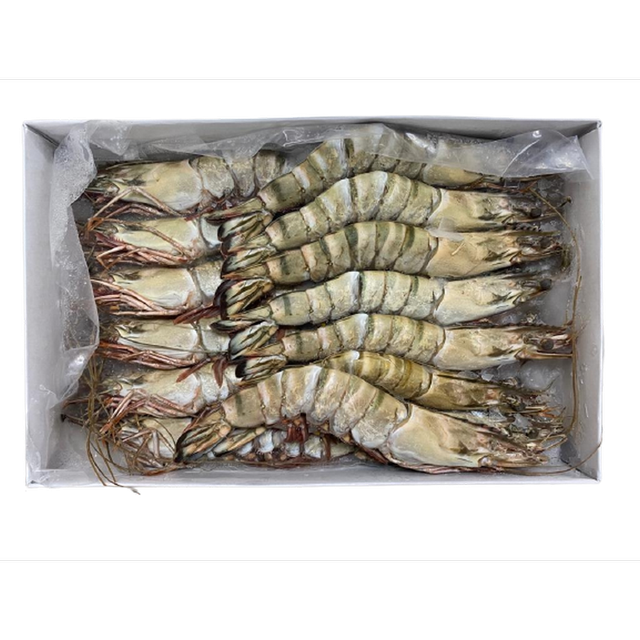 Vietnam wholesale frozen Black Tiger Prawn HOSO Head on Shell on shrimp / hoso fresh shrimp exporter HACCP, BRC, ASC natural - Image 2