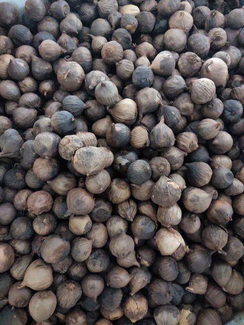 Vietnam Black Dried Garlic for US, EU, ASIA Market Standard company with high quality - Image 5