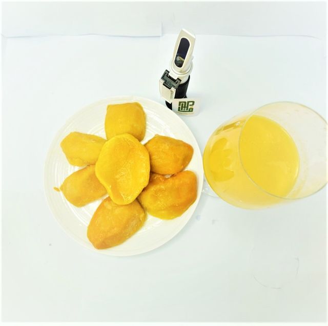 TOP SELLER - FROZEN FRESH MANGO Guaranteed Quality On Time Delivery NATURAL PLANT PRODUCT - Image 5