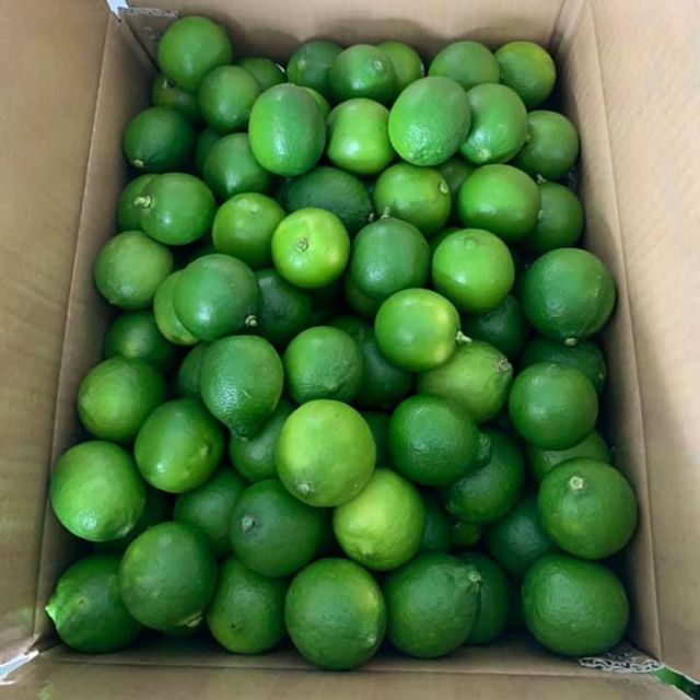 Fresh Seedless Lime (Green Seedless Lemon) Guaranteed Fresh and New / Packaged carefully - Image 3