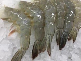 Frozen Vannamei Shrimps Shrimp Hot Sale Seafood Frozen Vannamei Shrimps From VietNam – product photo 2, product detail gallery