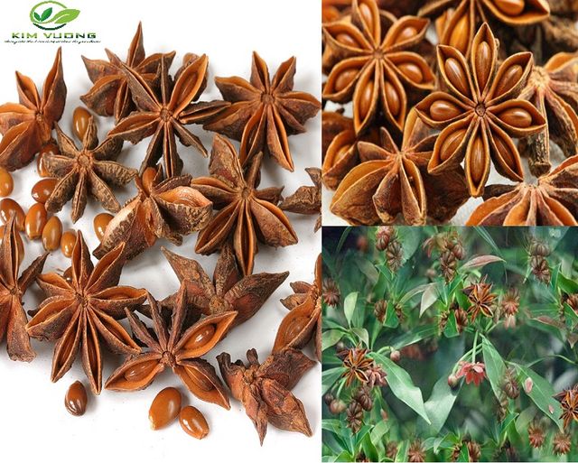 Star Anise Kim Vuong 2021 Best Quality Chilli & Pepper Natural Color,natural Red Bown Single Herbs & Spices Natural Dried 1000kg - Image 6