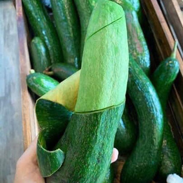 Fresh Avocado Fruit from Vietnam / Good Price Avocado fruit for wholesale (Ho Chi Minh Port) - Image 3