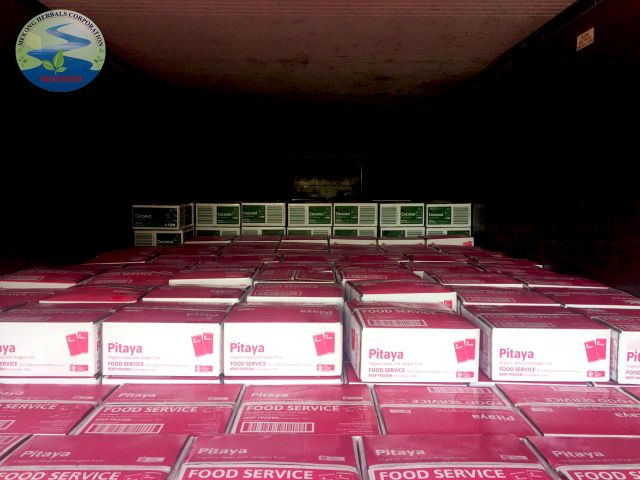 Frozen puree pink PITAYA/ Red dragon fruit from Vietnam (100% ORGANIC) - Image 5