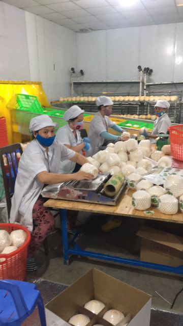 Fresh coconut - ready to drink with bamboo straw Color white Style Fresh Type Coconut Quality 100% Pure Storage Type - Image 4