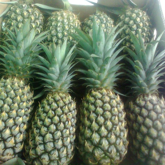 Fresh and Sweet Pineapple from Vietnam / Carefully Packaged and Quick Response / Good Price (Ho Chi Minh Port) - Image 3