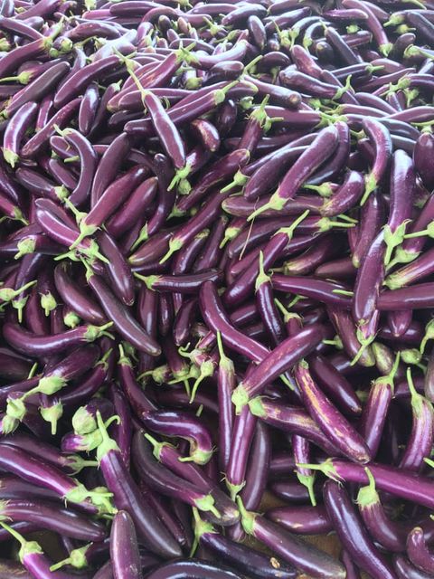 Fresh Eggplant from vietnam for export with standard quality best price and VIETGAP certification ready ship EU,US, ASIA market - Image 4