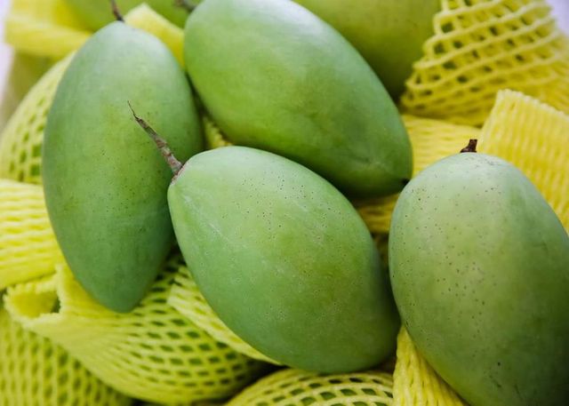 Fresh Green Mango Fruit - 100% Organic High Quality (Certification: GAP, HACCP...) from VIETNAM - Image 5
