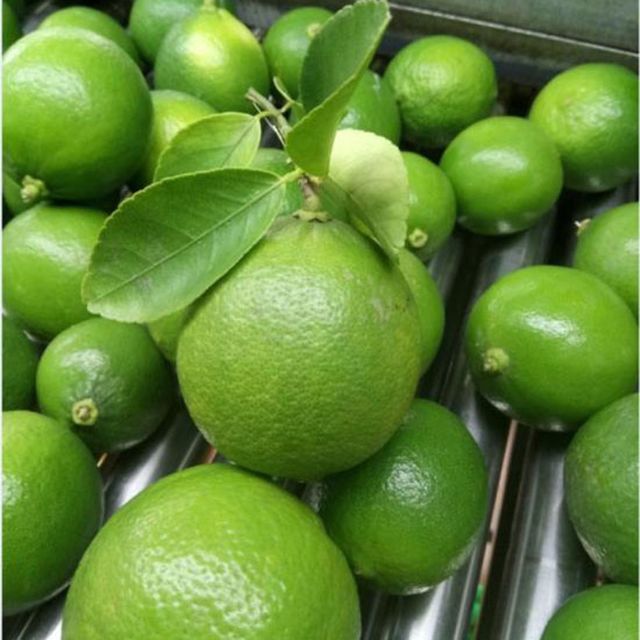 Fresh Seedless Lime (Green Seedless Lemon) Guaranteed Fresh and New / Packaged carefully - Image 5