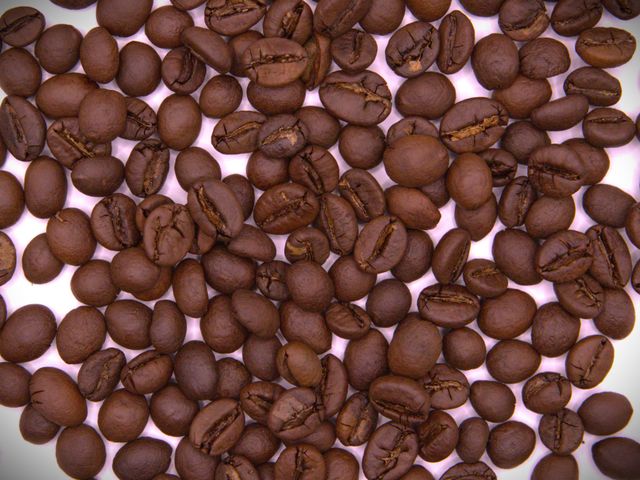 coffee beans - Image 2