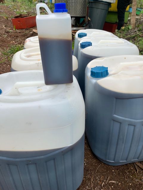 Raw Acacia Honey Grade A Form Liquid Max. Moisture (%) 22 Packaging Jerrycan 50 Kg Place of Origin Indonesia Color Dark Yellow to Red - Image 5