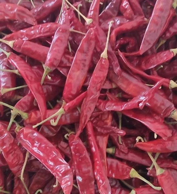 Teja Red Chilli Packaging Details 25/50Kg Place of Origin Andhra Pradesh, - Image 2