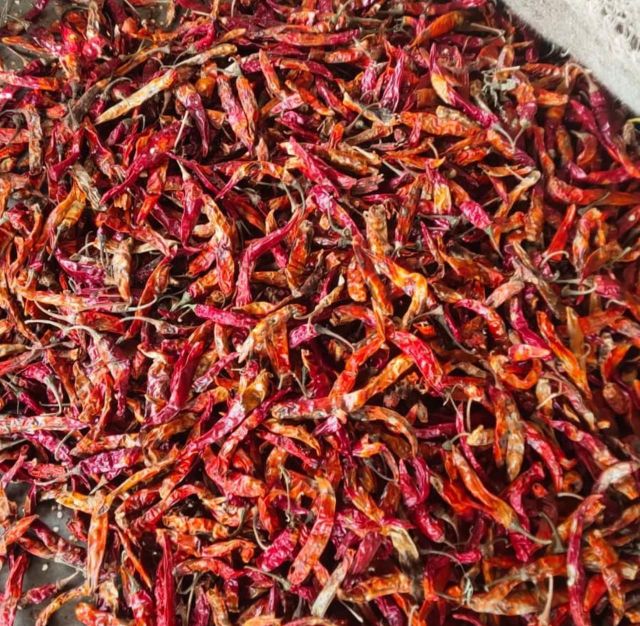 Teja Red Chilli Packaging Details 25/50Kg Place of Origin Andhra Pradesh, - Image 3