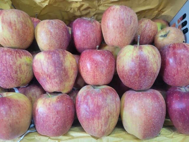 Apple Packaging 16kg - Image 1