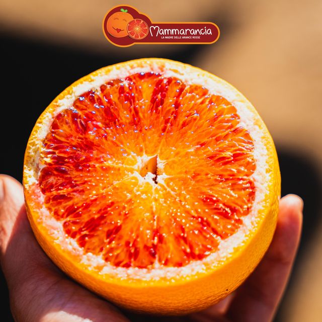 Organic Tarocco Blood Orange - Image 1