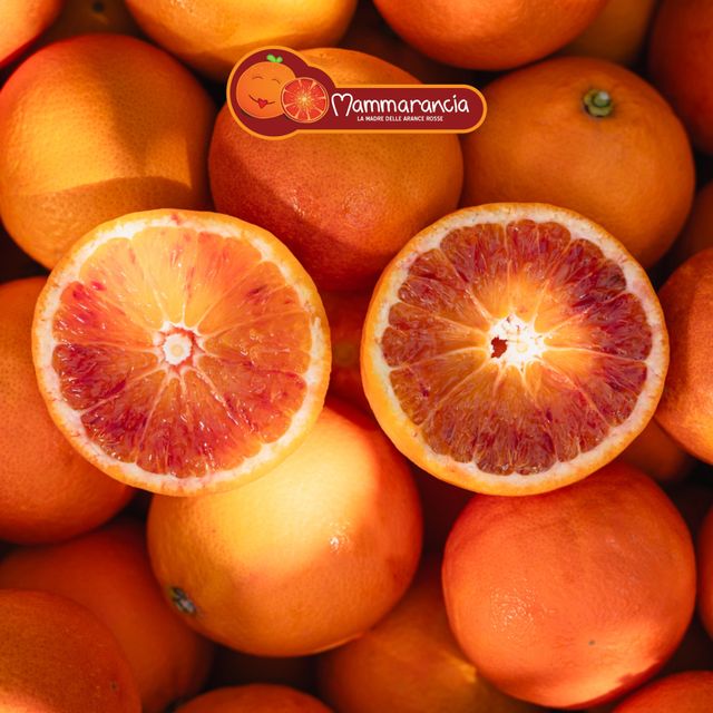 Organic Tarocco Blood Orange - Image 2