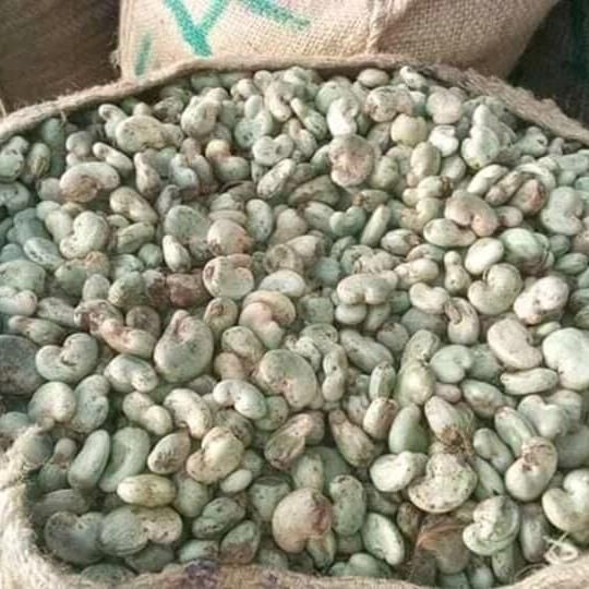 RAW CASHEW NUTS - Image 4
