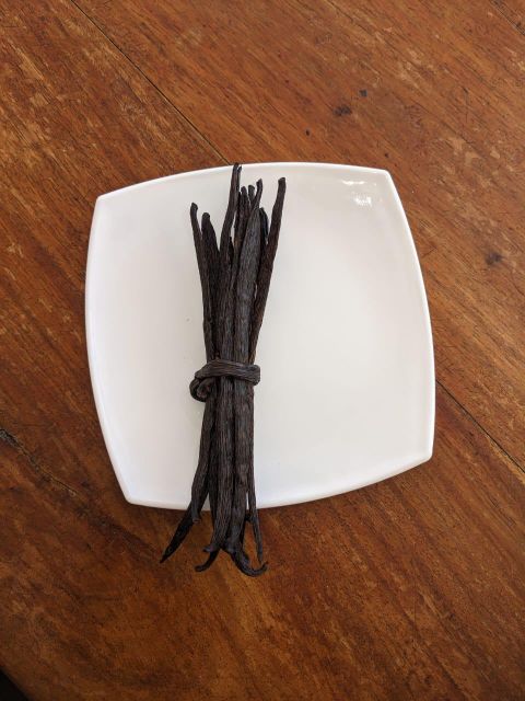 Vanilla Bean - Image 3