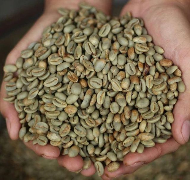 Arabica Coffee from South Sulawesi – product photo 4, product detail gallery