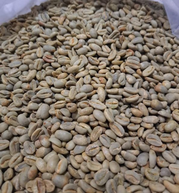 Arabica Coffee from South Sulawesi – product photo 5, product detail gallery