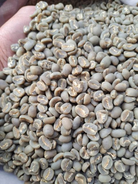 Arabica Coffee from South Sulawesi – product photo 3, product detail gallery