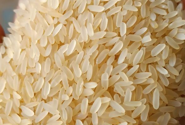 Indian Rice – Premium Export Quality - Image 3