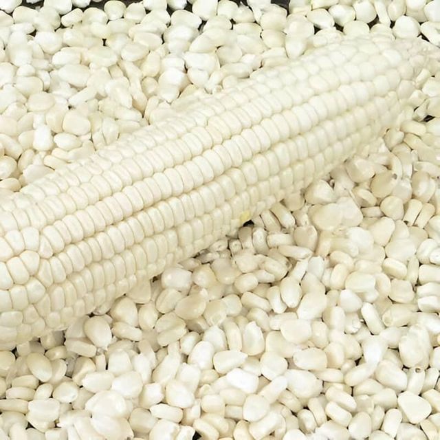 White Corn - Image 3