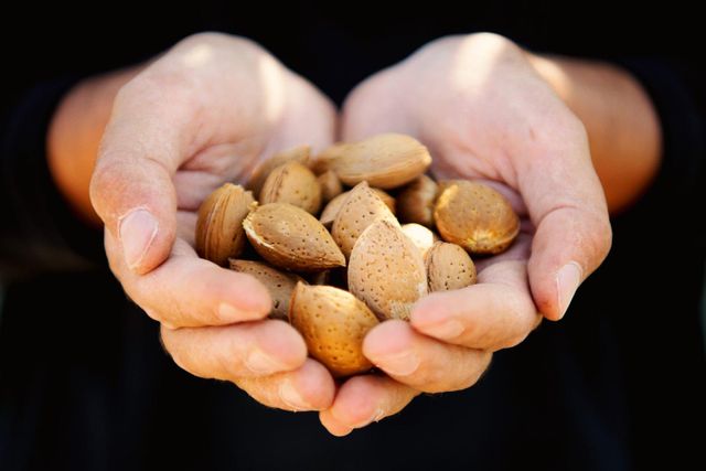 Organic almonds in shell - Image 1