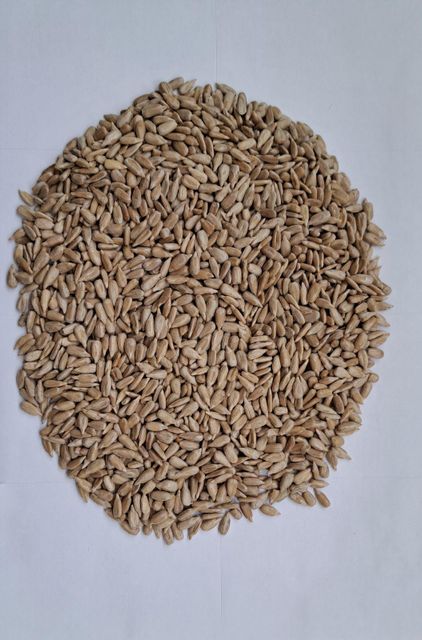 Sunflower kernels confectionery  Grade Confection Manufacturer Agimax Bulgaria Packaging Big Bags/Paper - Image 1