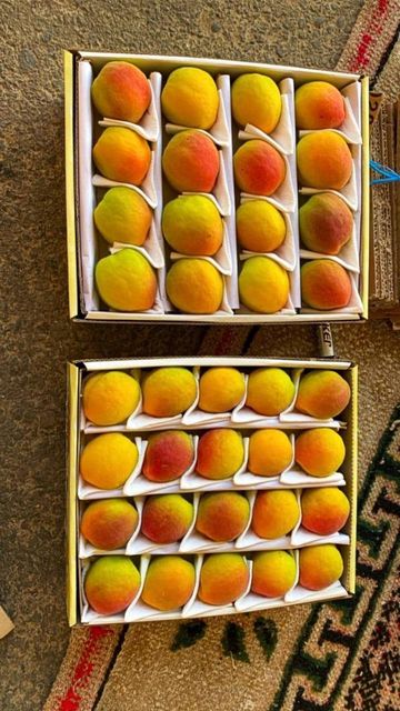 apricot Color red Packaging - Image 1
