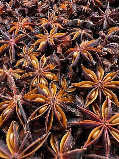 Highest grade dried autumn star anise whole - Image 2