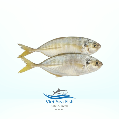 Yellow Scad Fish - Image 1