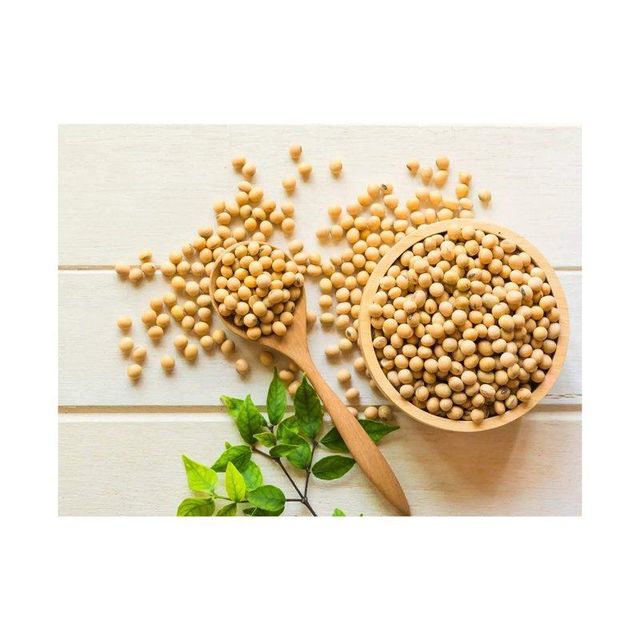 soybeans ready for sale with global shipping and secure packaging solutions - Image 4