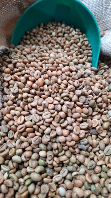 Green Arabica Robusta Coffee Beans Coffee Arabice Beans Vietnam Factoryt Free Sample High Grade - Image 4
