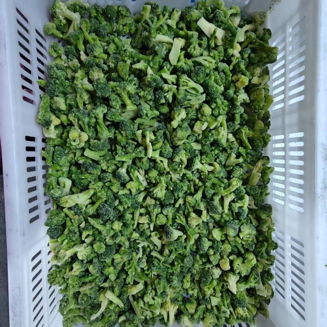 IQF Frozen Broccoli Grade A Size 1-2cm Color Green Technique IQF Texture Tender Ice Cover 5%-15% Shelf Life 24months Pest Status No Worms - Image 1