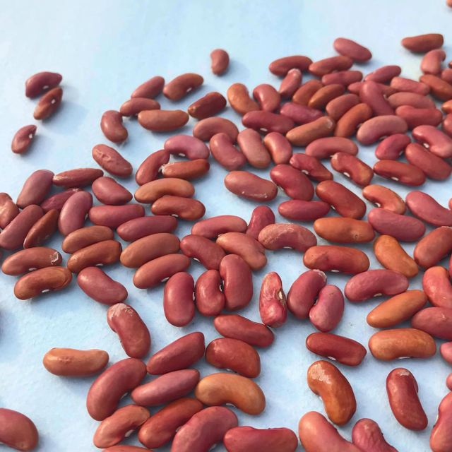 Red Beans For Importers And Wholesale Buyers With Carefully Managed Sorting And Premium Crop Selection Standards - Image 2