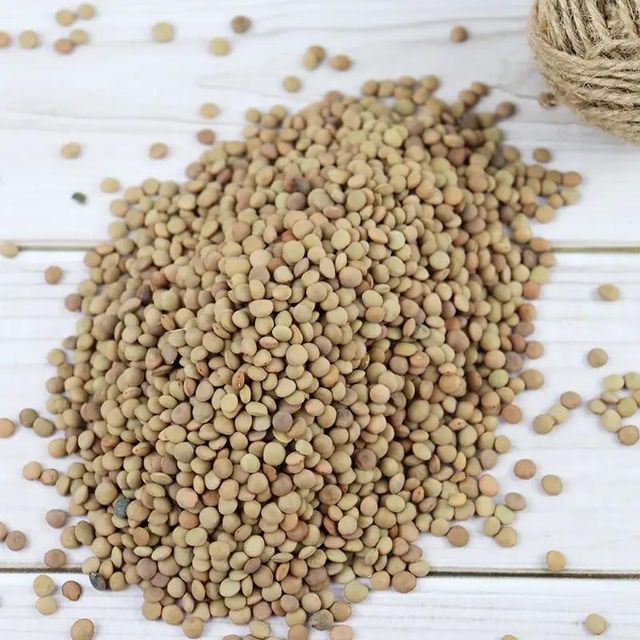 Premium Quality Mixed Pulses Including Red Lentils Green Lentils Yellow Lentils And Other Pulses Variety Pack For Wholesale - Image 3