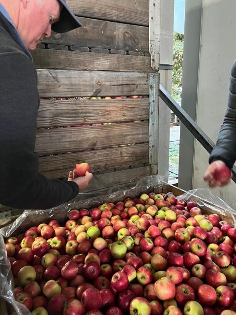 Fresh Cripps Red Apples for sale - Image 4