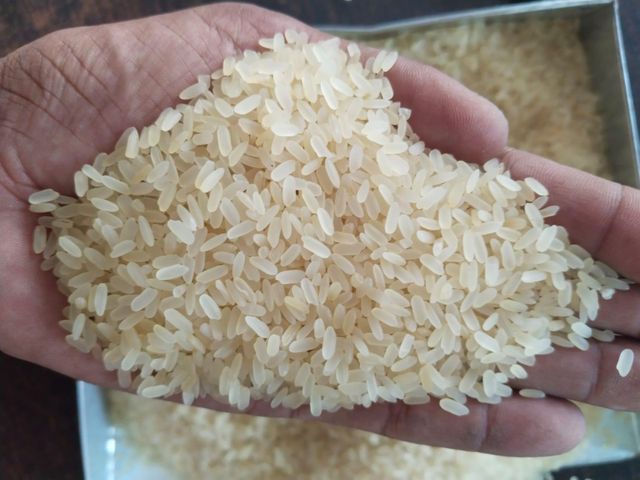 IR64 Parboiled Rice 5% Broken - Image 4