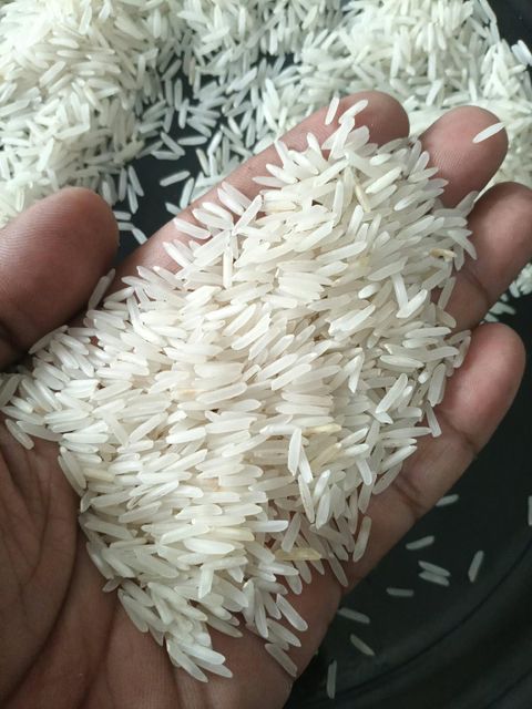 1509 RAW BASMATI RICE - Image 1