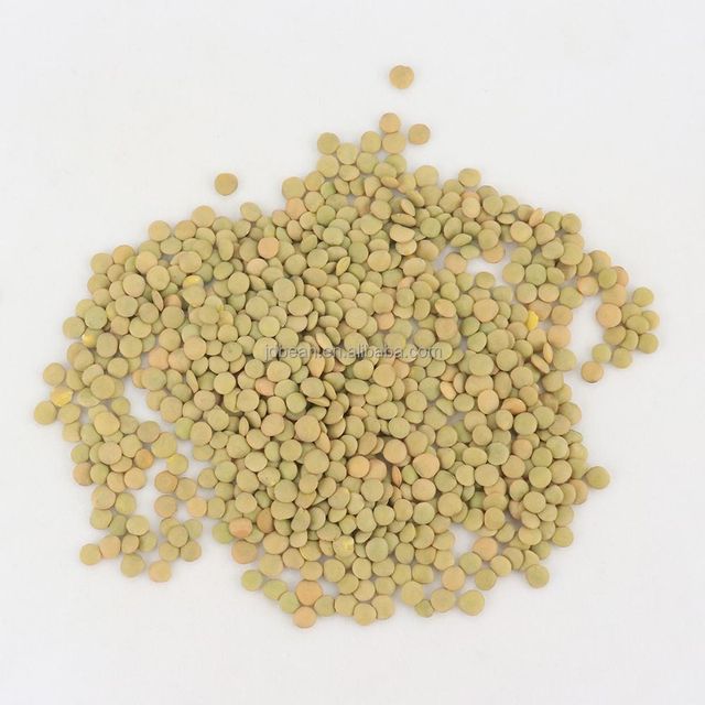 China Origin Factory Customize Raw Wholesale 7 mm Cheap Yellow Lentil Price Green Lentils Green Lentils - Image 3