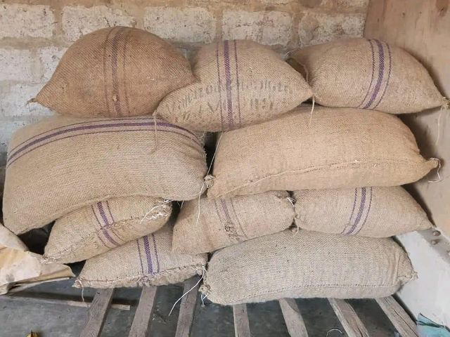 Raw Cashew Nuts - Image 4