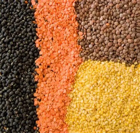 Lentils - Image 2