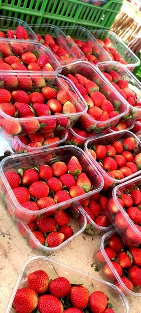 Strawberry – product photo 3, product detail gallery