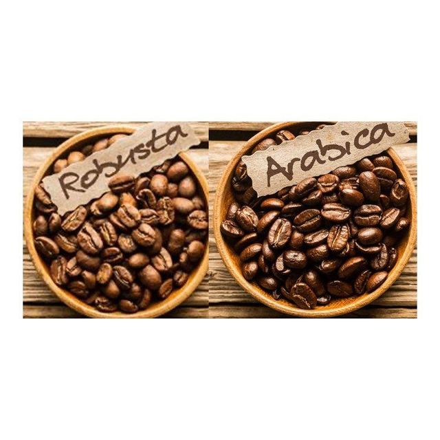 Wholesale robusta coffee beans ready for discount price acquisition and volume purchase – product photo 1, product detail gallery