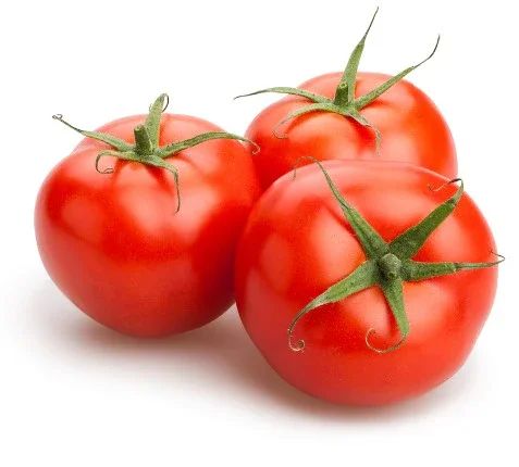 High Quality Fresh  Red Tomatoes for Wholesale - Image 1