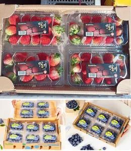 Automatic Corrugated Board Fruit Box Making Machine for Cherry Box - Image 5