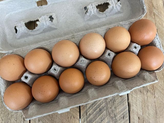 eggs - Image 2